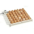 thumbnail image 1 of Farm Innovators 41-Egg Capacity 120V Automatic Egg Turner 3200, 1 of 9
