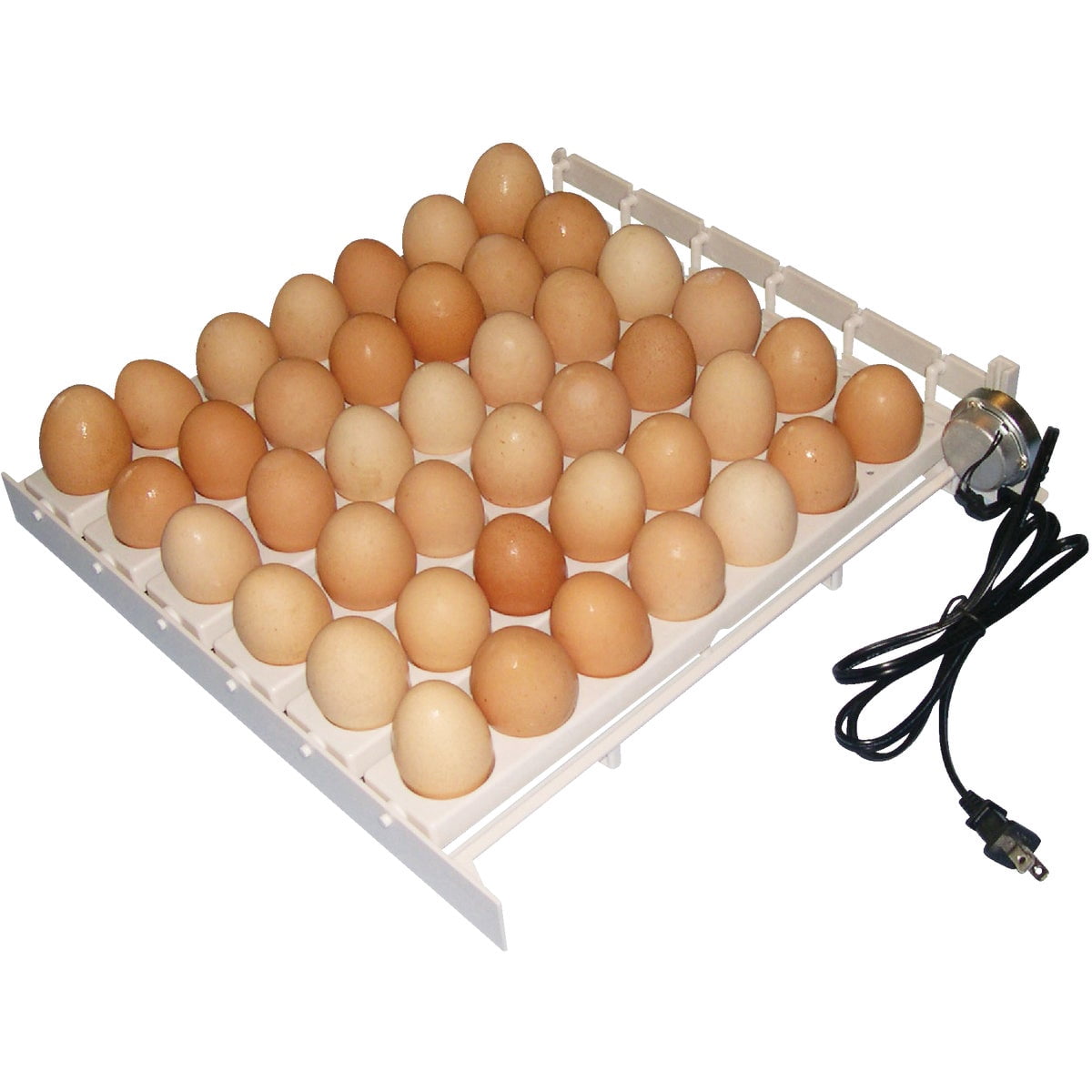 Farm Innovators Automatic Egg Turner 41 Large Egg Capacity Chicken Egg Incubator with Thermometer