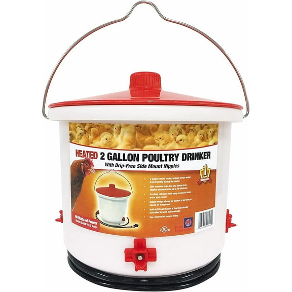 Farm Innovators HB-60P Thermostatically Controlled Heated 2 Gallon Plastic Outdoor Year Round Poultry Chicken Water Bucket Drinker, White/Red