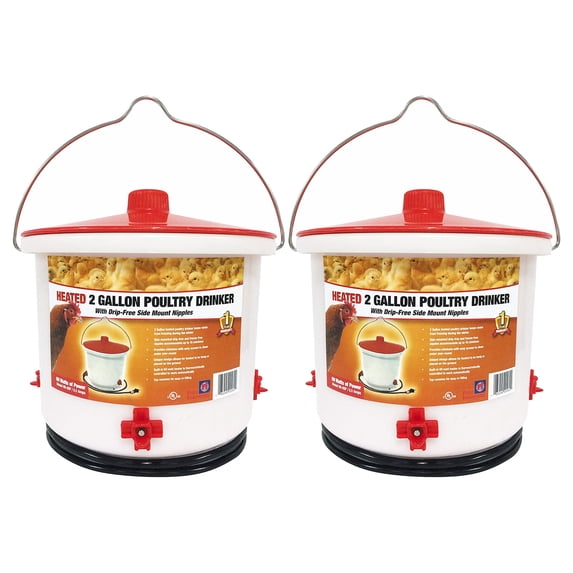 Farm Innovators Heated 2-Gallon Poultry Water Drinker, White/Red (2 Pack)