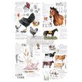 thumbnail image 1 of Farm Life Prima Redesign Transfer, 1 of 2