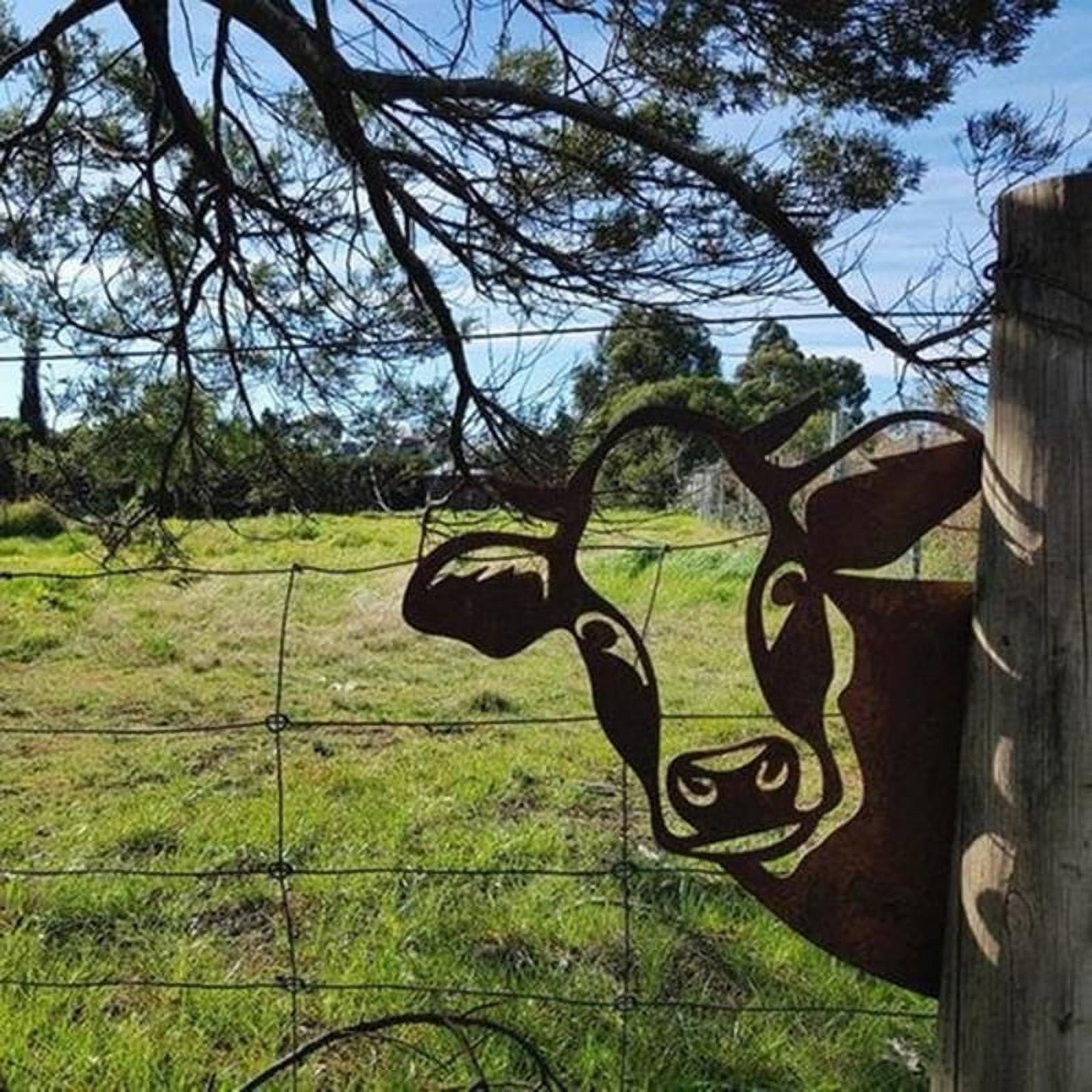 Peeping Cow