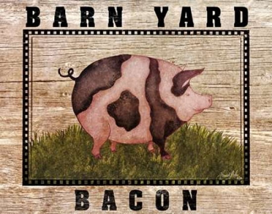 Farm Pig Canvas Art - Elizabeth Medley (20 x 24)
