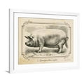 thumbnail image 1 of Art.com Farm Pig II Art Print by Gwendolyn Babbitt, White Frame Wall Art, 40" x 32", 1 of 4