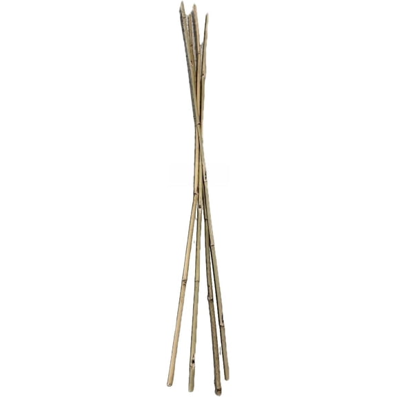Farm Plastic Supply - Bamboo Garden Stakes - Bambo Sticks, Bamboo Plant Stakes for Outdoor Plants, Plant Support Stakes for Indoor Plants (7 Foot - 75 Pack)