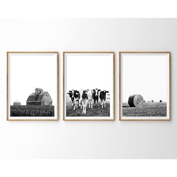 Farm Prints Cows Barn Hay Modern Farmhouse Black White Kitchen Art Set 3 Stretched Canvas 8x12