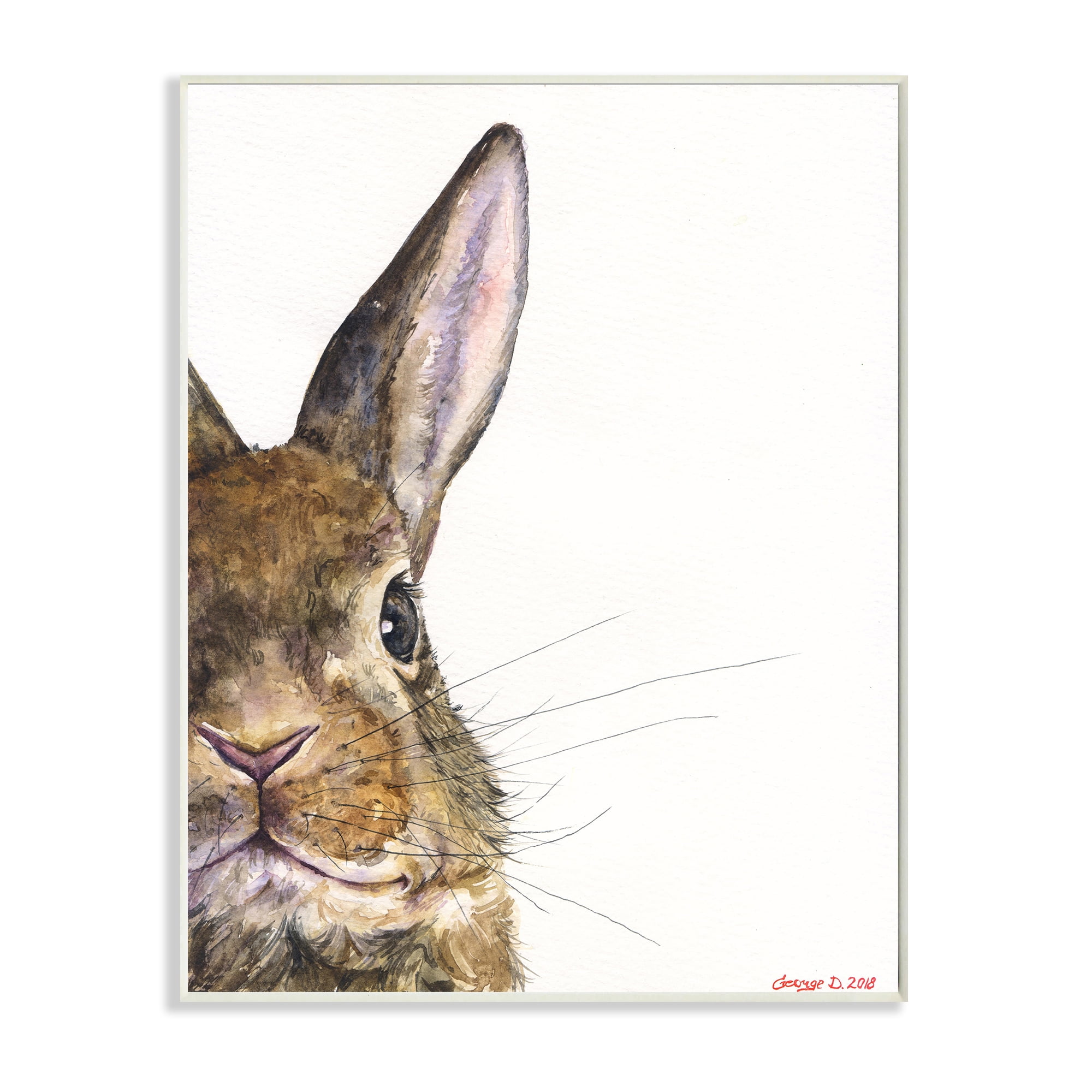 Stupell Industries Farm Rabbit Gaze Adorable Whiskered Animal Wall Plaque, 10 x 15, Design by George Dyachenko