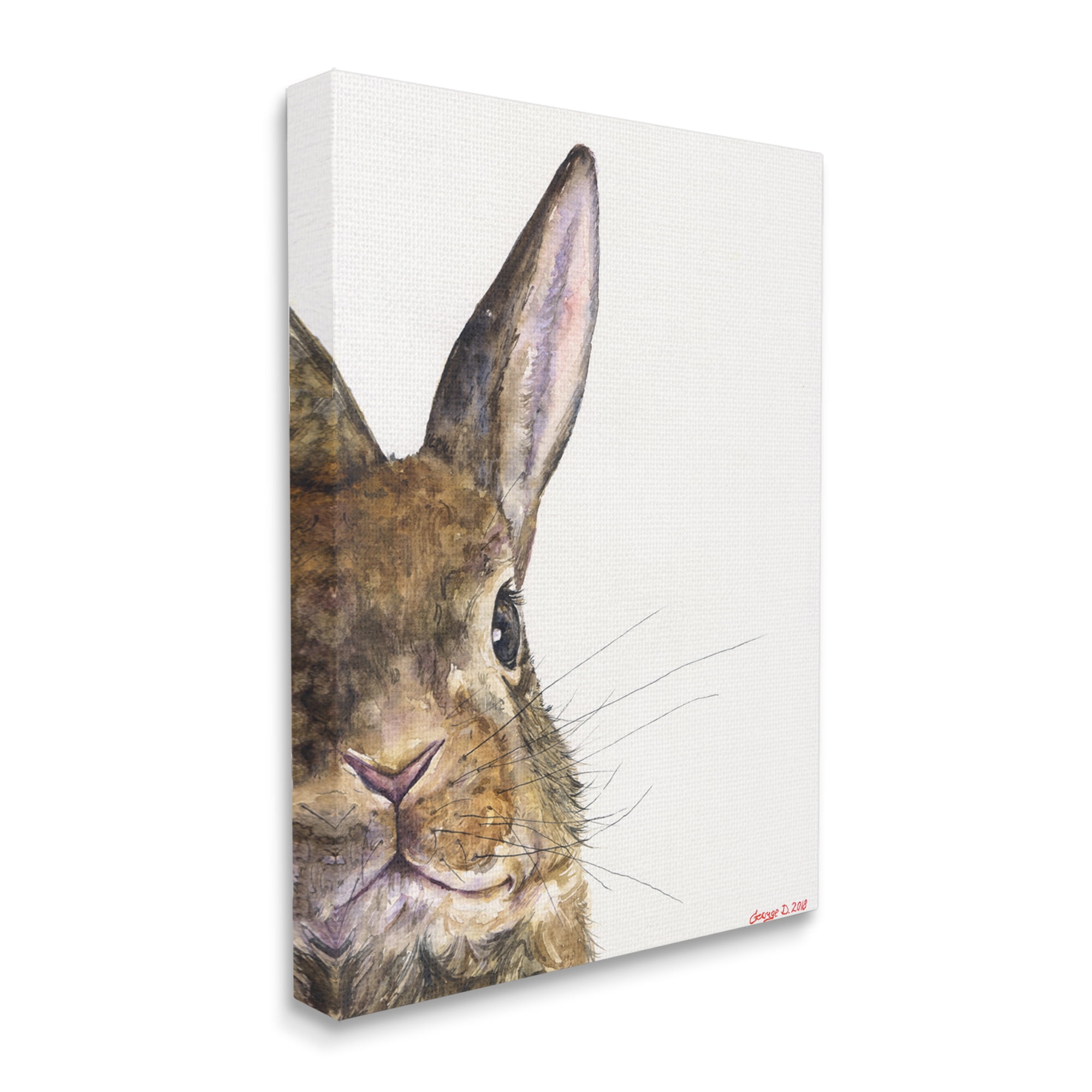 Stupell Industries Farm Rabbit Gaze Adorable Whiskered Animal Canvas Wall Art, 24 x 30, Design by George Dyachenko