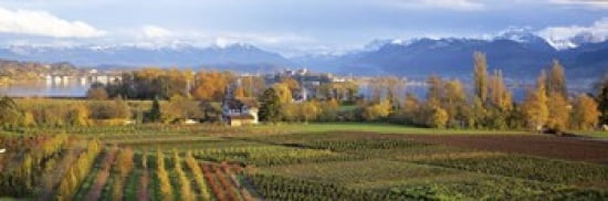 Farm Rapperswil Zurich Switzerland Canvas Art - Panoramic Images (36 x 12)