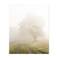 thumbnail image 1 of Farm Road, Accord - Accord New York Photography Rural Landscape Farmhouse Nature Rustic Autumn Scenic Unframed Wall Art Print 20 x 24 inches, 1 of 13
