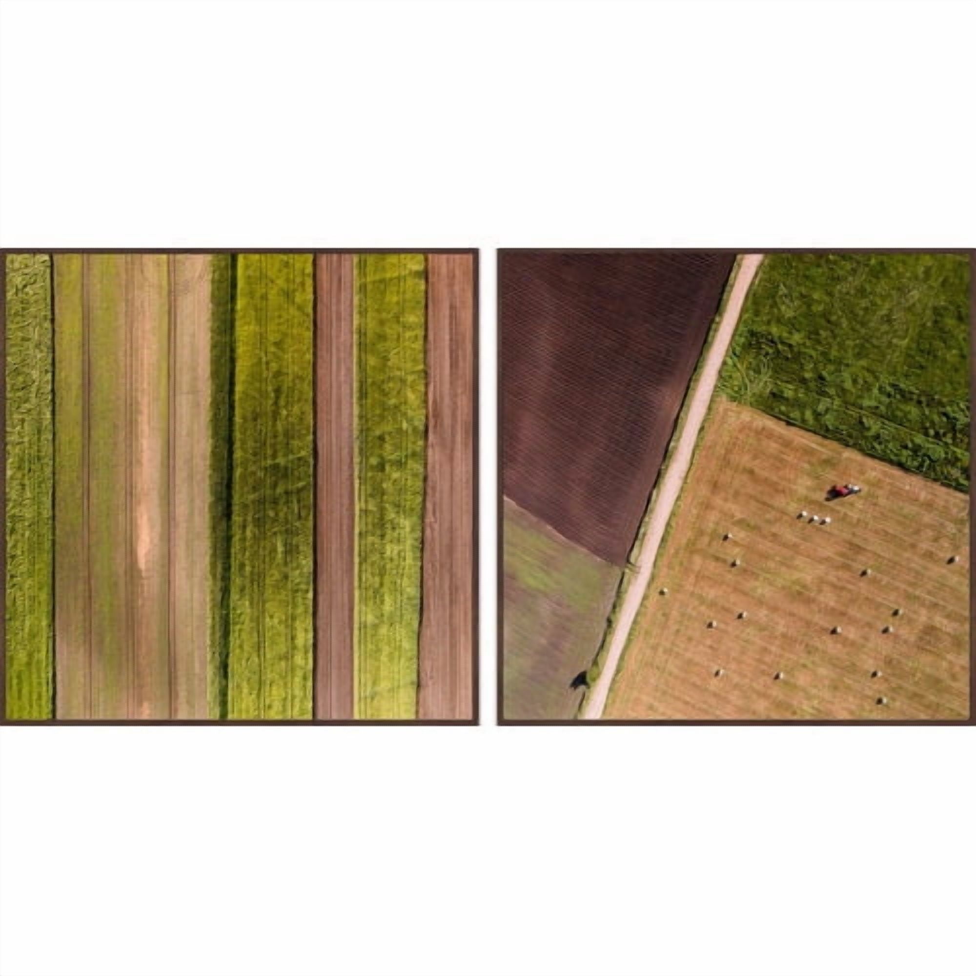 Farm Rows Diptych