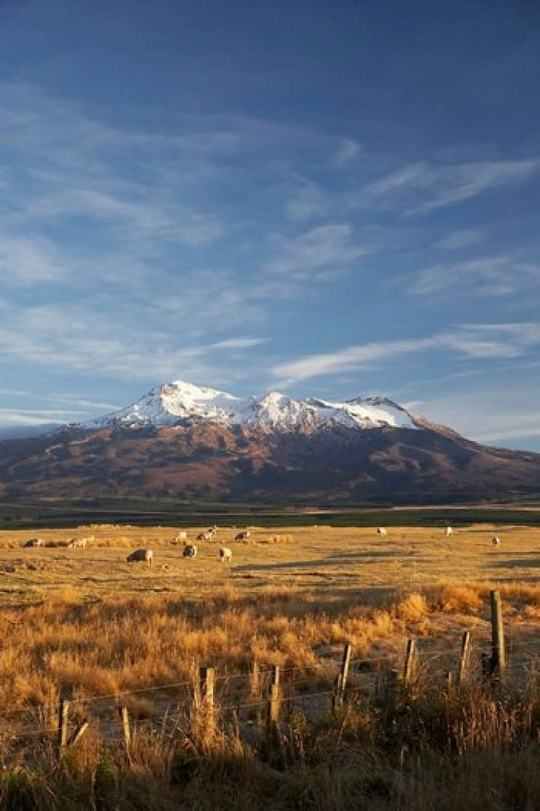 Farm Scene Mt Ruapehu North Island New Zealand Canvas Art - David Wall DanitaDelimont (23 x 34)