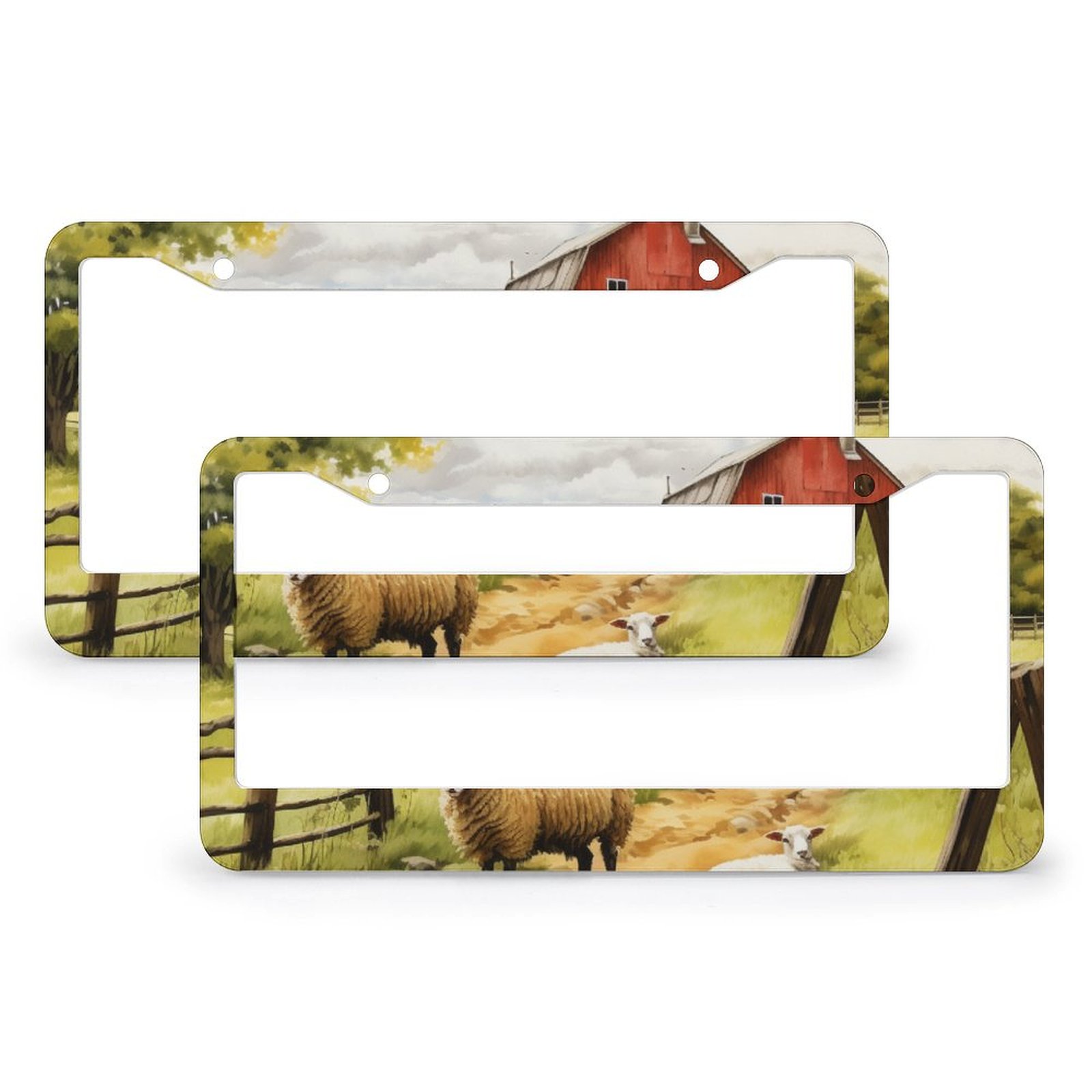 Farm Sheep Walks By A Red Barn License Plate Frame 2 Pack Funny Animal ...