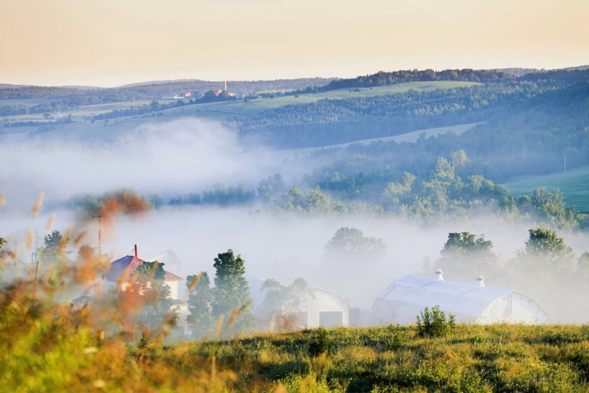 Farm Structures Through Fog Chesterville Quebec Canada Canvas Art - Yves Marcoux Design Pics (18 x 12)