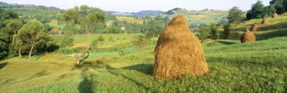 Farm Transylvania Romania Canvas Art - Panoramic Images (18 x 6)