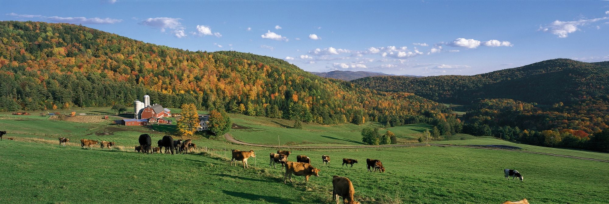 Farm VT USA Canvas Art - Panoramic Images (27 x 9)