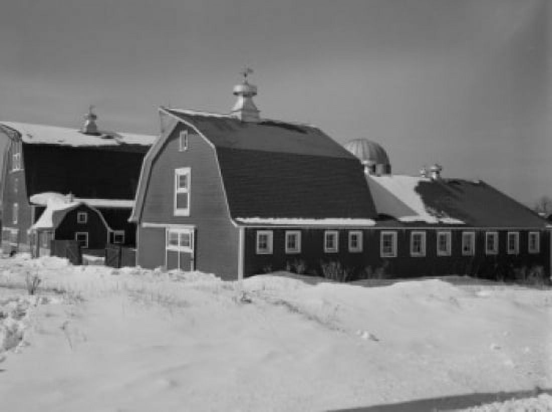 Farm buildings on dairy farm Canvas Art - (24 x 36)