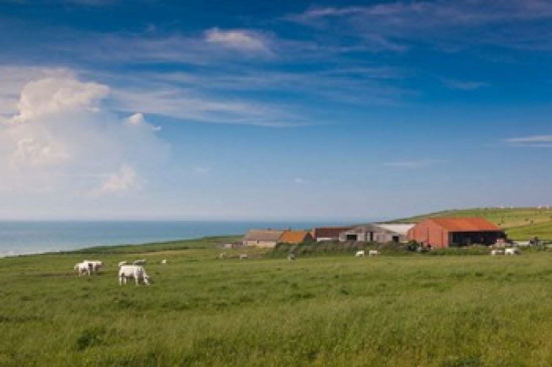 Farm by Cap Blanc Nez Escalles Canvas Art - Walter Bibikow DanitaDelimont (28 x 19)