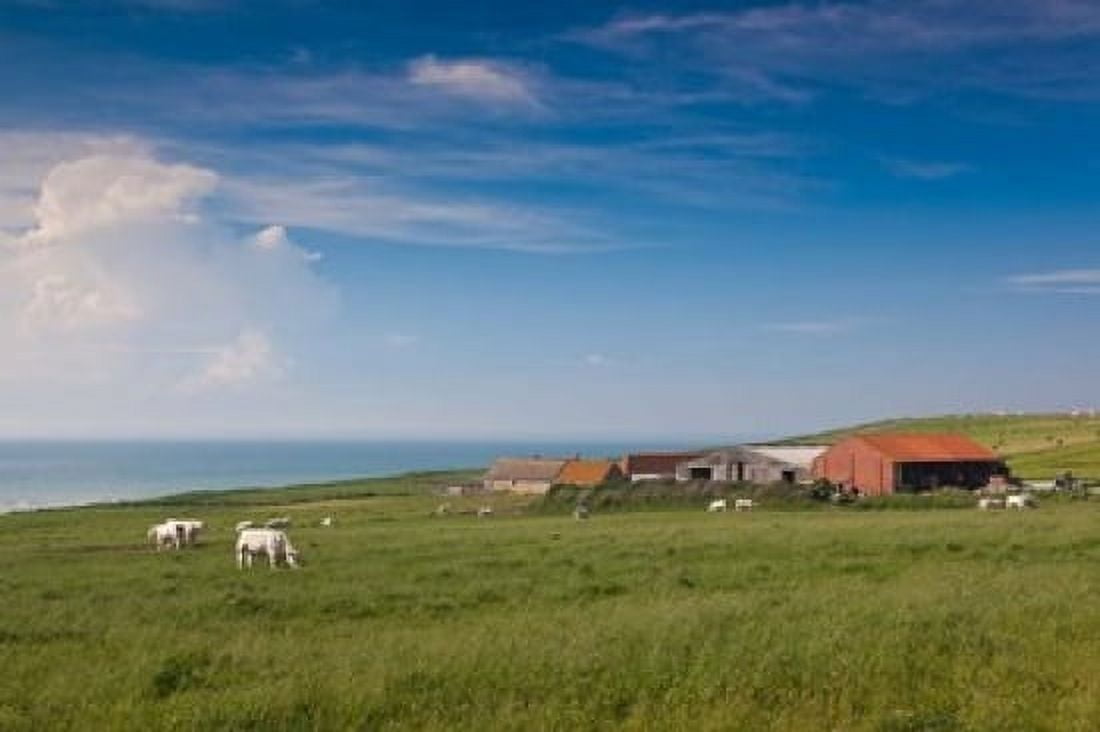 Farm by Cap Blanc Nez Escalles Canvas Art - Walter Bibikow DanitaDelimont (36 x 24)