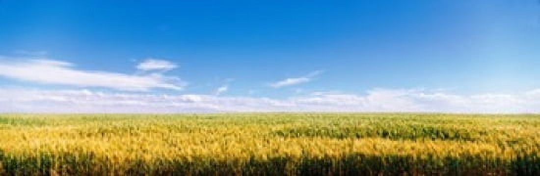 Farm field Twin Falls ID USA Canvas Art - Panoramic Images (18 x 6)