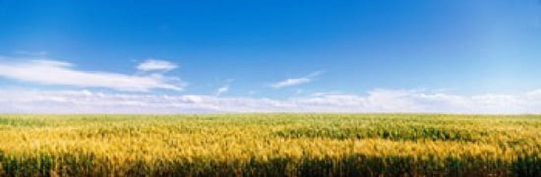 Farm field Twin Falls ID USA Canvas Art - Panoramic Images (36 x 12)