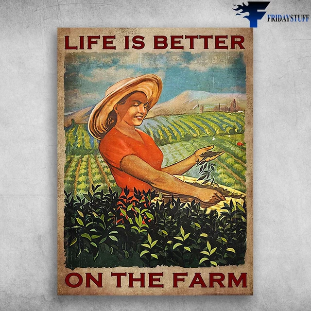 Life is Better Framed Sign main image 1