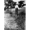thumbnail image 1 of Farmer With Cradle. Nan American Farmer Harvesting Wheat With A Cradle. Photograph Late 19Th Century. Print by, 1 of 3