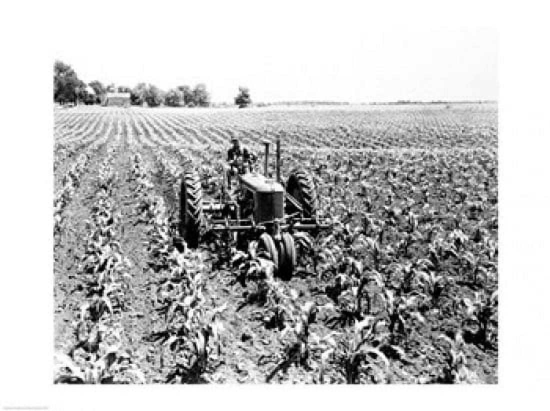 Farmer driving tractor in field Canvas Art -  (18 x 24)