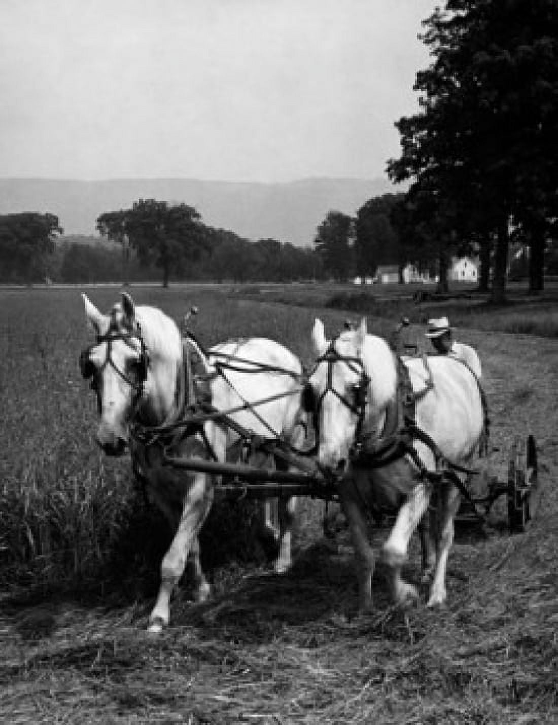 Farmer farming in a field Canvas Art - (18 x 24)