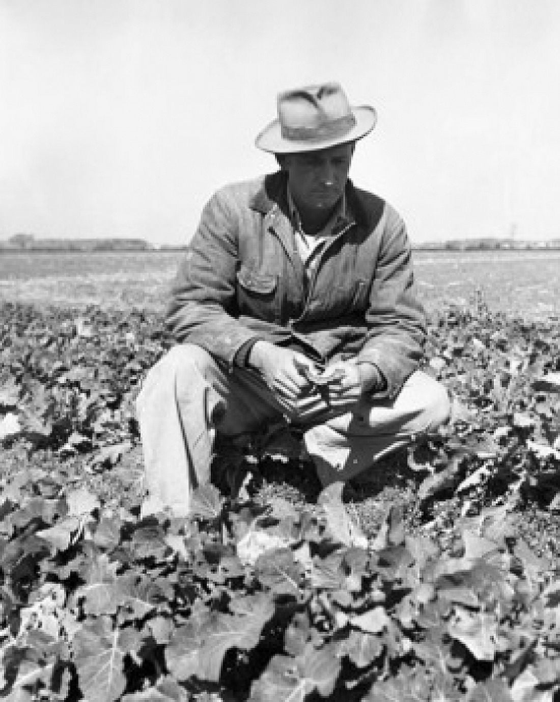 Farmer in a field Canvas Art - (24 x 36)