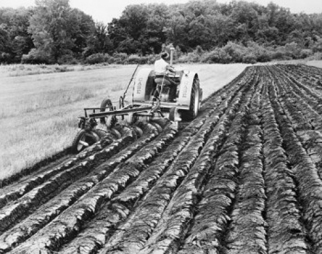 Farmer plowing a field Canvas Art - (24 x 36)