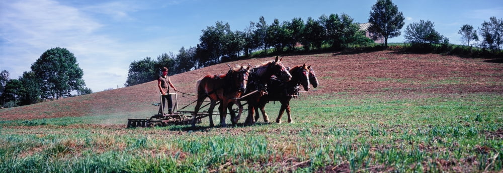 Farmer plowing field with horses Amish country Holmes County Ohio USA Canvas Art - Panoramic Images (27 x 9)