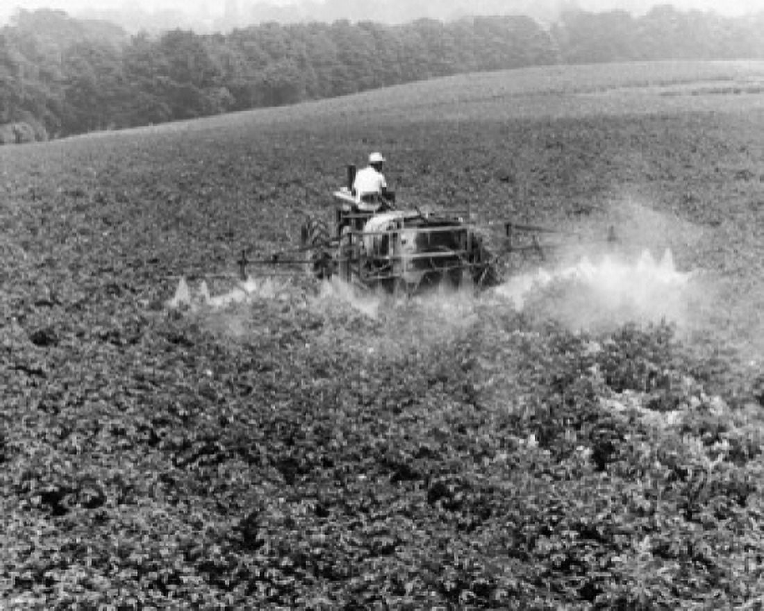 Farmer spraying insecticide in a potato field Canvas Art - (24 x 36)