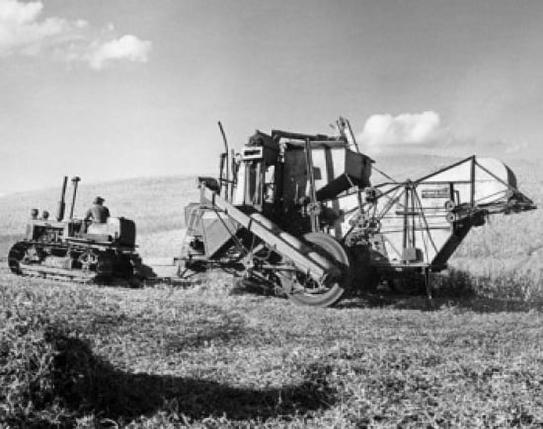 Farmer using a combine harvester in a pea field Washington State USA Canvas Art - (18 x 24)