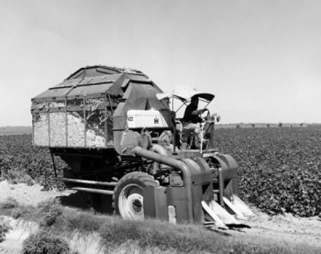 Farmer using a combine in a cotton field Texas USA Canvas Art - (18 x 24)