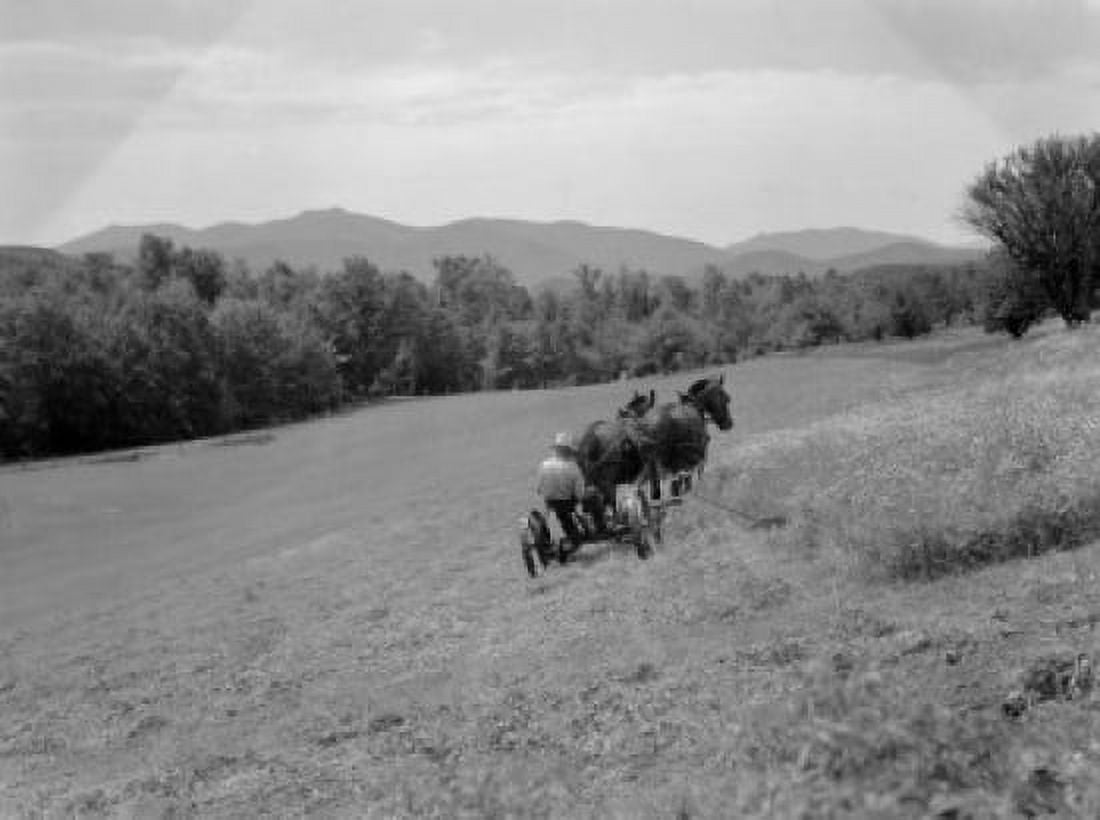 Farmer with horses in field Canvas Art - (18 x 24)