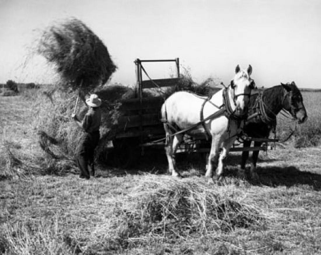 Farmer working in a field Canvas Art - (18 x 24)