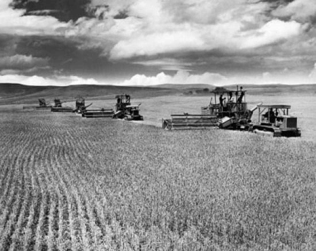 Farmers harvesting a wheat crop with a combine in a field Canvas Art - (18 x 24)