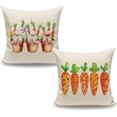 thumbnail image 1 of Farmhouse Easter Home Decor Pillow Covers 18x18 Set of 2, Spring Easter Bunny Carrot Decorative Throw Pillows 18 x 18, Vintage Easter Outdoor Porch Decor Pillows (without Pillow Inserts), 1 of 6