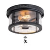 Maxxima Black Flush Mount Ceiling Light - 2-Light Indoor/Outdoor Farmhouse Square Fixture