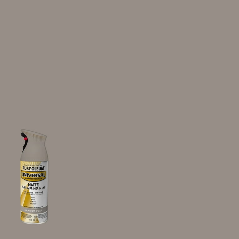 Rust-Oleum 245220 Universal All Surface Metallic Spray Paint, 11 oz, Titanium  Silver - Rustoleum For Plastic 