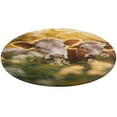 thumbnail image 1 of Farmhouse Highland Cow Funny Cattle And Flower Round Rugs -Washable Non-Slip Small Round Area Rug Throw Soft Circle Rugs for Bedroom, Modern Print Indoor Carpet for Entryway Sofa Living Room, 1 of 7