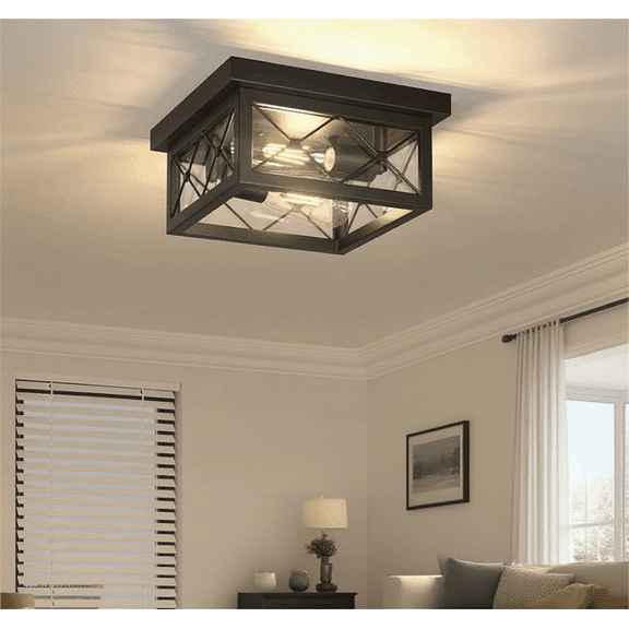 Farmhouse Light Fixtures Ceiling Mount 2-Light Black Flush Mount Ceiling Light with Clear Glass Shade Metal Cage Square Ceiling Lamp for Bathroom Kitchen Porch (Bulbs Not Included)