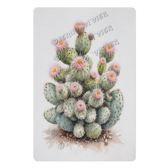 Farmhouse Mammillaria Cactus Tin Sign  8x12 Inch Succulent Decor for Entryway, Kitchen, or Housewarming Gift for Green Thumb Friends