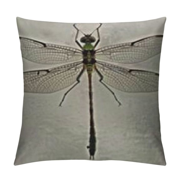 Farmhouse Oblong Rectangle Throw Pillow Case, Green Darner Dragonfly Isolated with Clipping Path Pillow Cases Cushion Covers for Home Sofa Couch Green