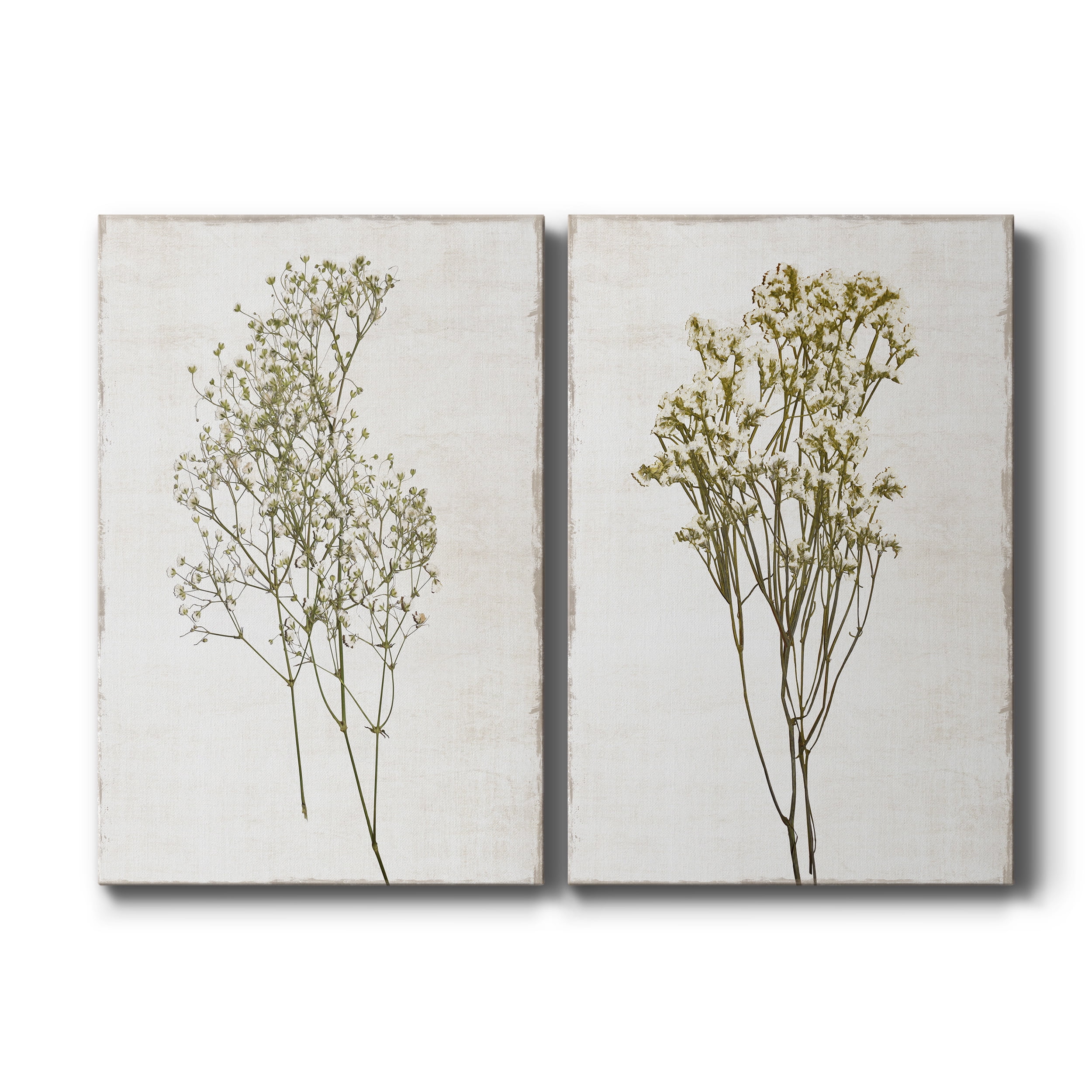 Farmhouse Pressed Flower I Premium Gallery Wrapped Canvas - Ready to Hang - Set of 2 - 12 x 18 Each