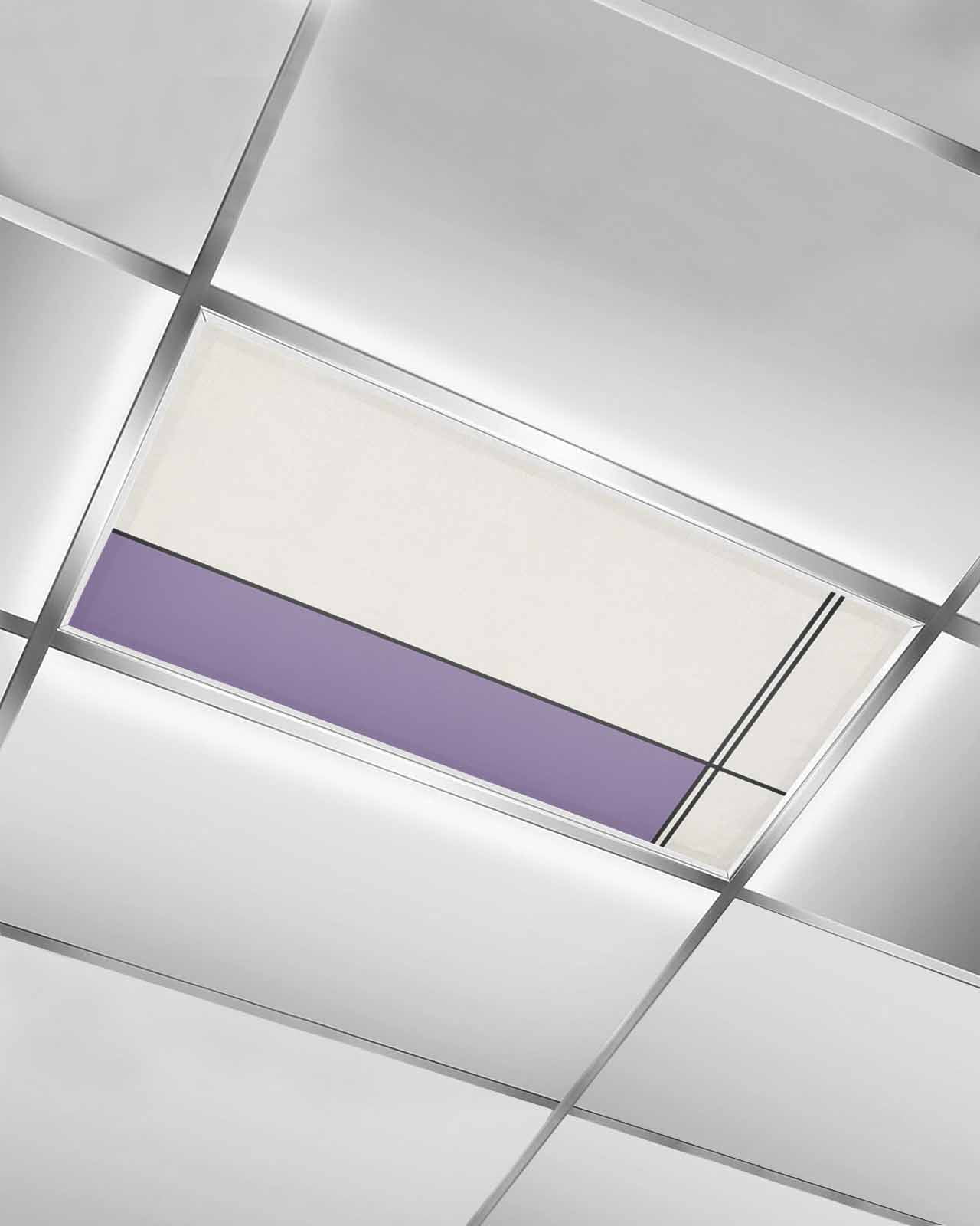 Gallery image with a fresh perspective