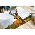 thumbnail image 1 of Farmhouse Rugs, Personalized Gifts Rug, Housewarming Gift Rugs, Gift Rug, Runner Rug, American Deer Rugs, Animal Rug, Safari Rug, Salon Rug, 2'x3' - 60x90 cm, 1 of 8