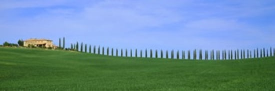 Farmhouse in a field San Quirico dOrcia Orcia Valley Siena Province Tuscany Italy Canvas Art - Panoramic Images (36 x 12)