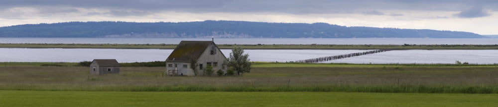 Farmhouse in a field along shore of Whidbey Island Island County Washington State USA Canvas Art - Panoramic Images (36 x 12)